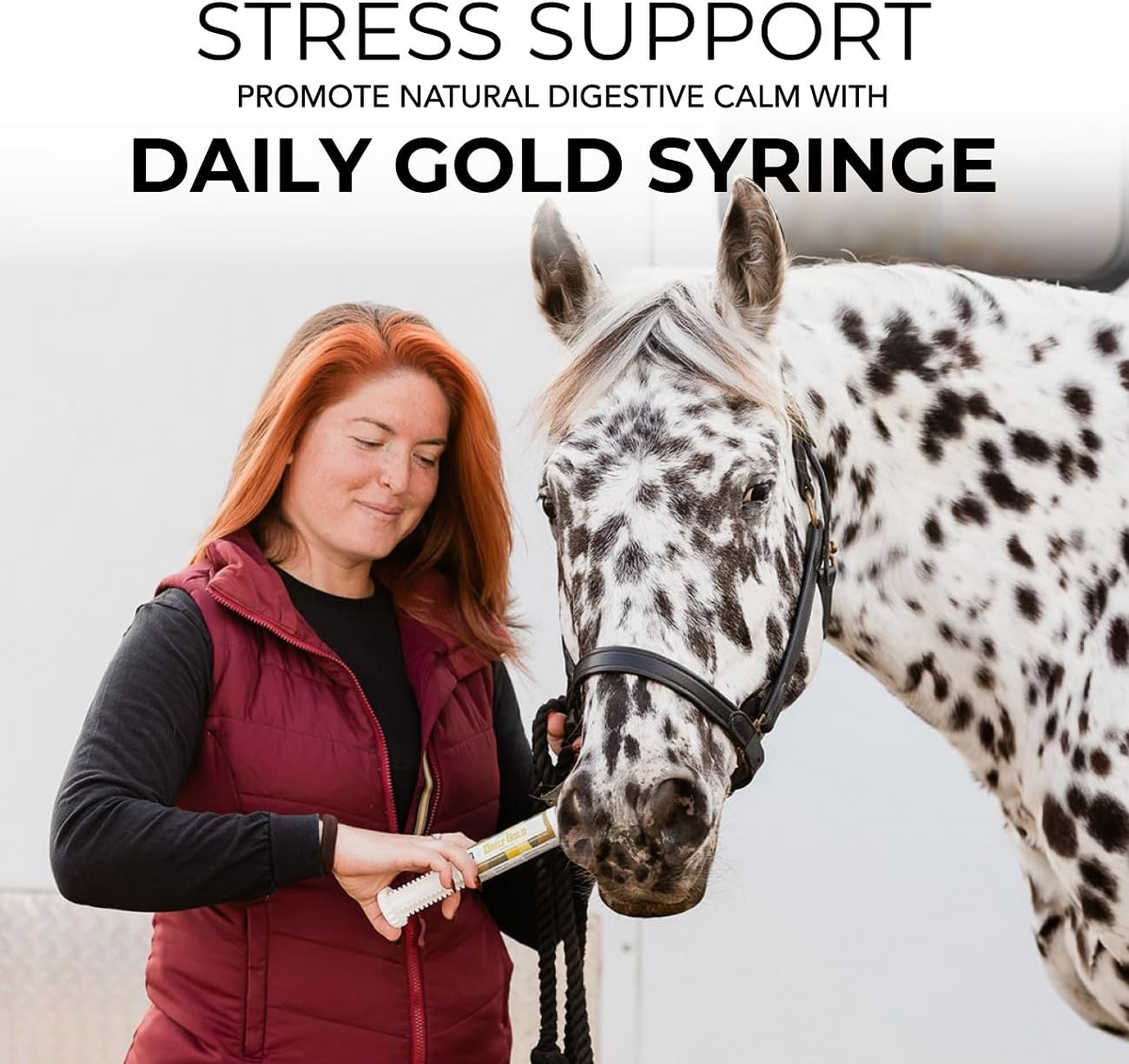 Redmond Daily Gold Stress Relief Natural Healing Clay for Gastric Ulcers for Horses