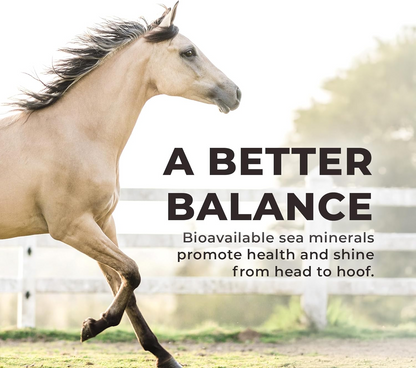 Redmond Daily Red Crushed Loose Mineral Salt For Horses