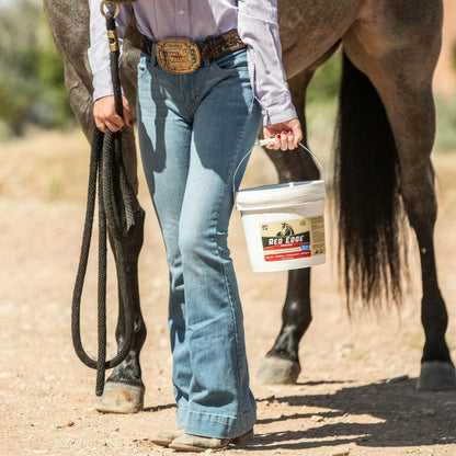 Redmond Simply Clay Natural Topical Solution Poultice For Horse (9.5 lb)