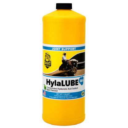 Select The Best HylaLUBE Concentrated Hyaluronic Acid Joint Supplement for Horses