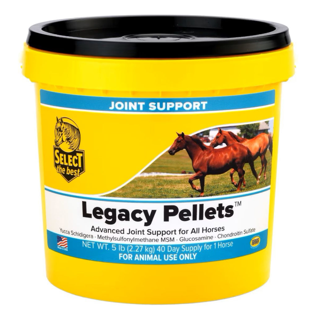 Select The Best Legacy Pellets Joint Support for Horses