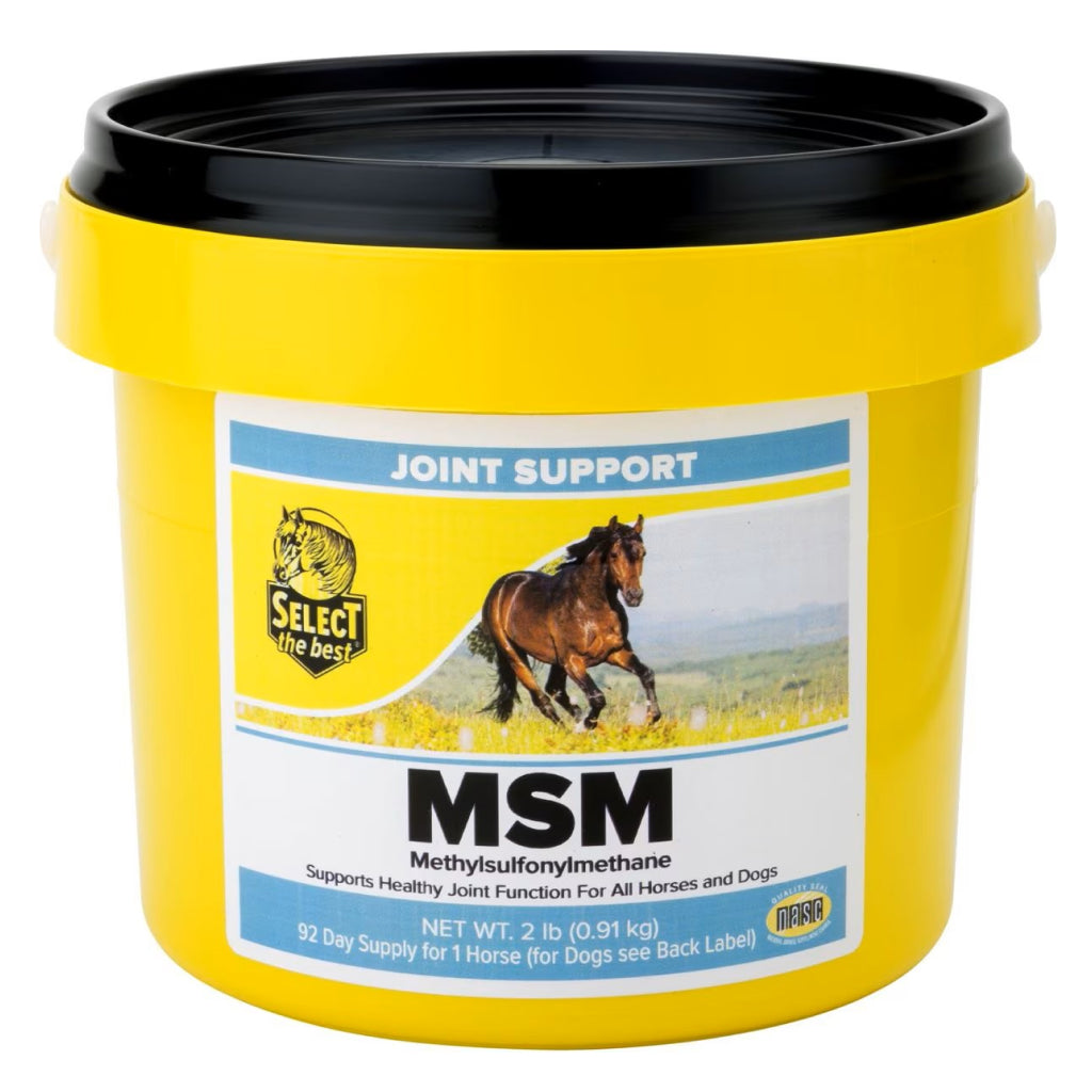 Select the Best MSM Joint Support for Horses