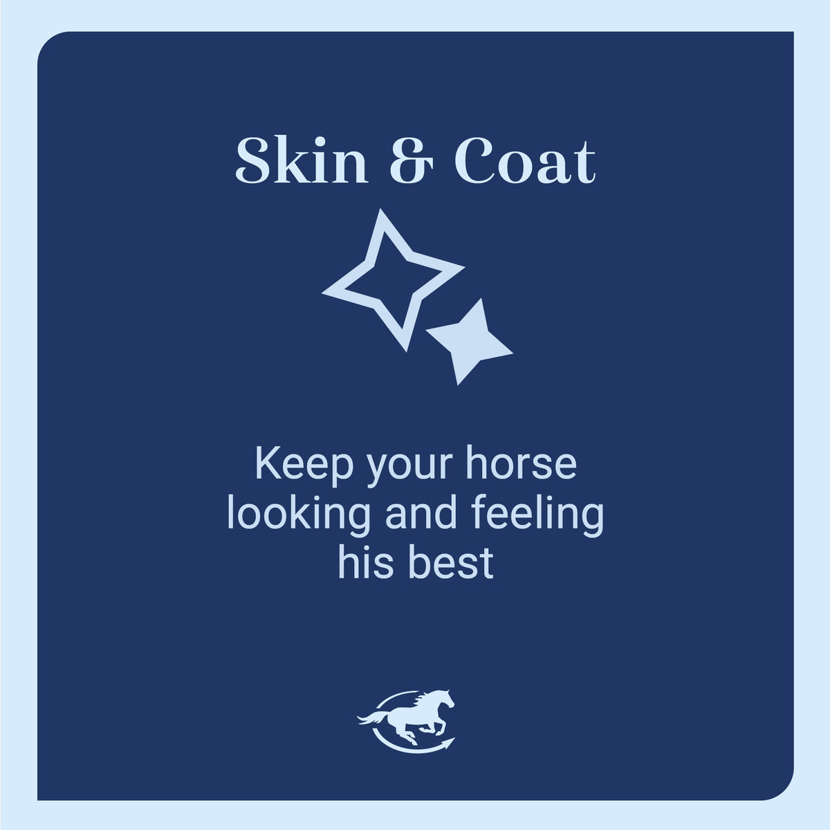 SmartEquine CocoSoya Essential Fatty Acid Formula for Horses