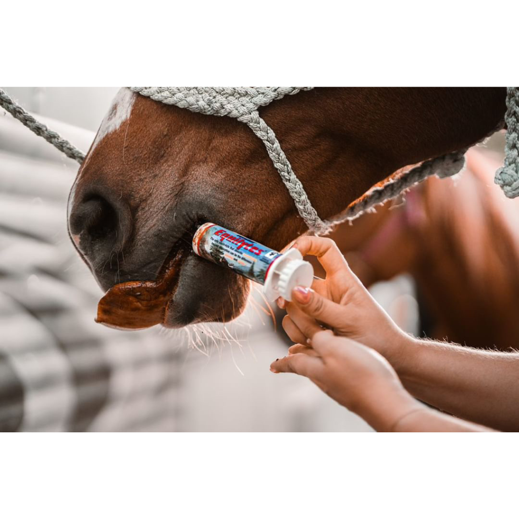 Vetline Equilytes Electrolyte Paste for Horses