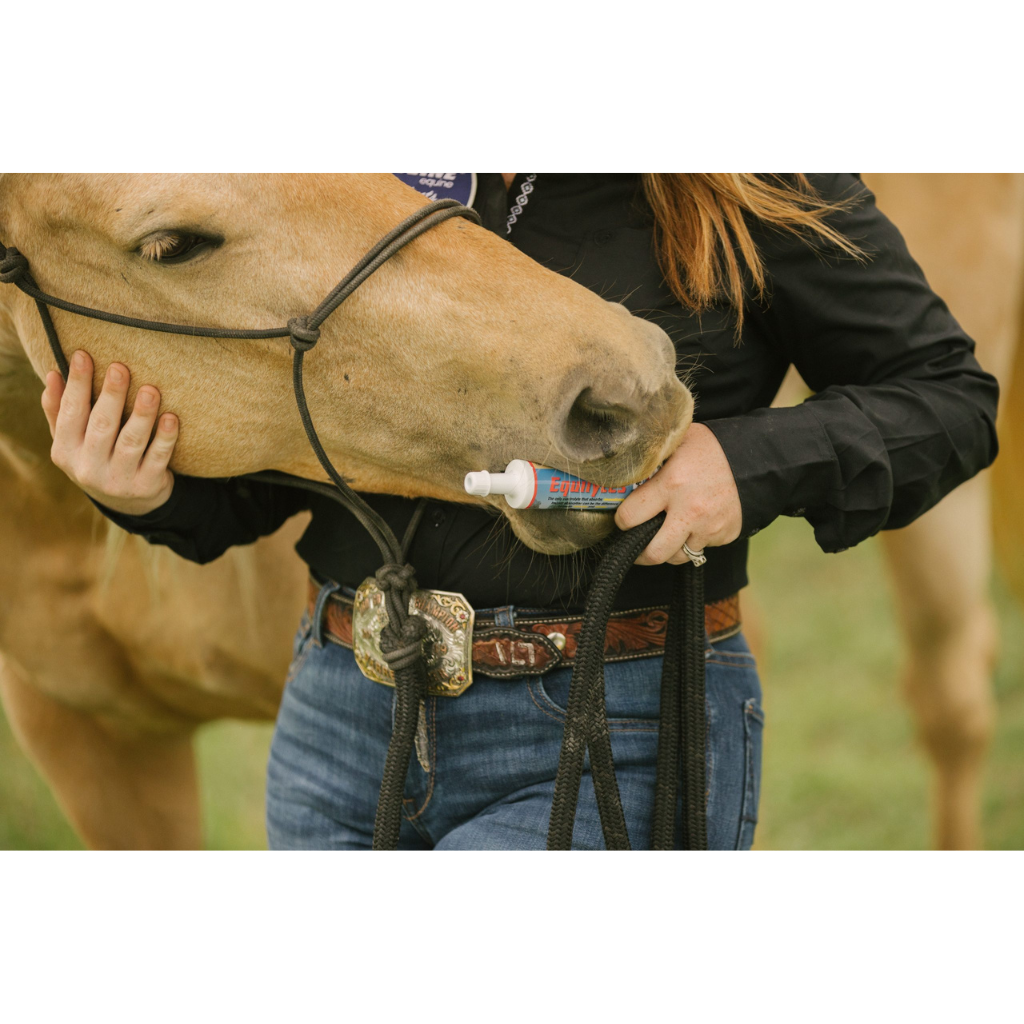 Vetline Equilytes Electrolyte Paste for Horses
