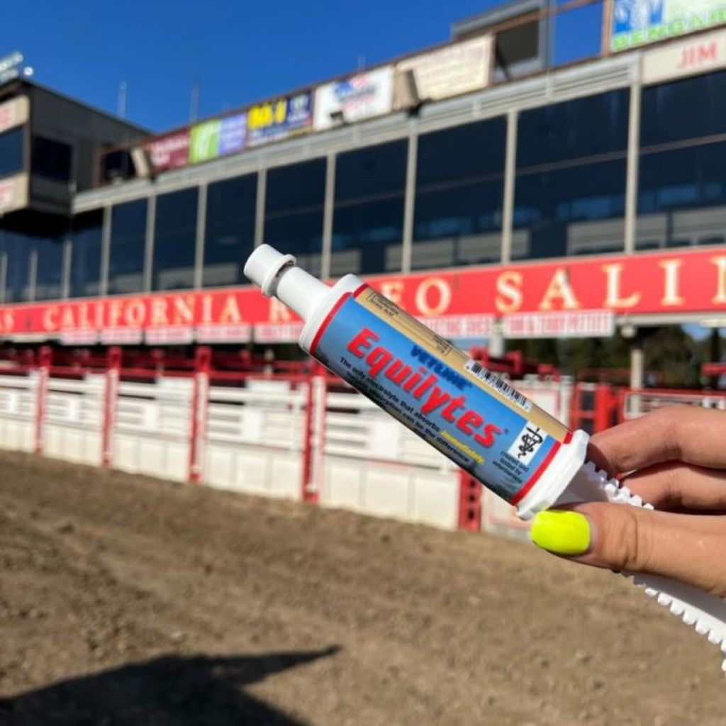 Vetline Equilytes Electrolyte Paste for Horses