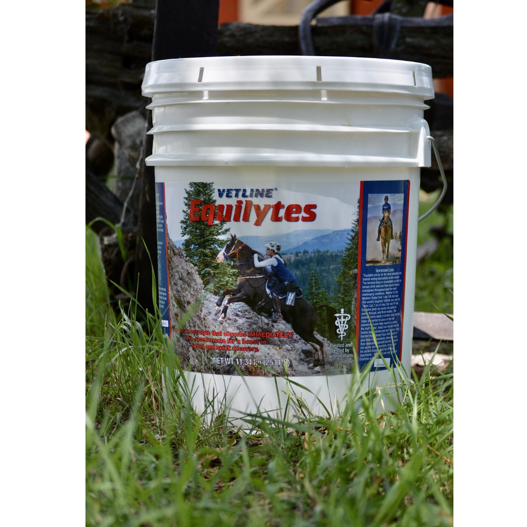 Vetline Equilytes Electrolyte Powder for Horses