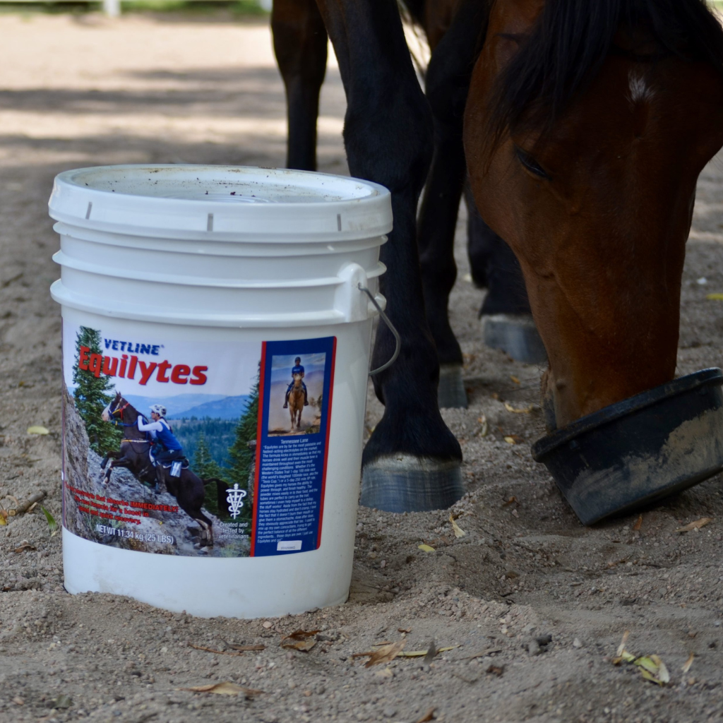 Vetline Equilytes Electrolyte Powder for Horses
