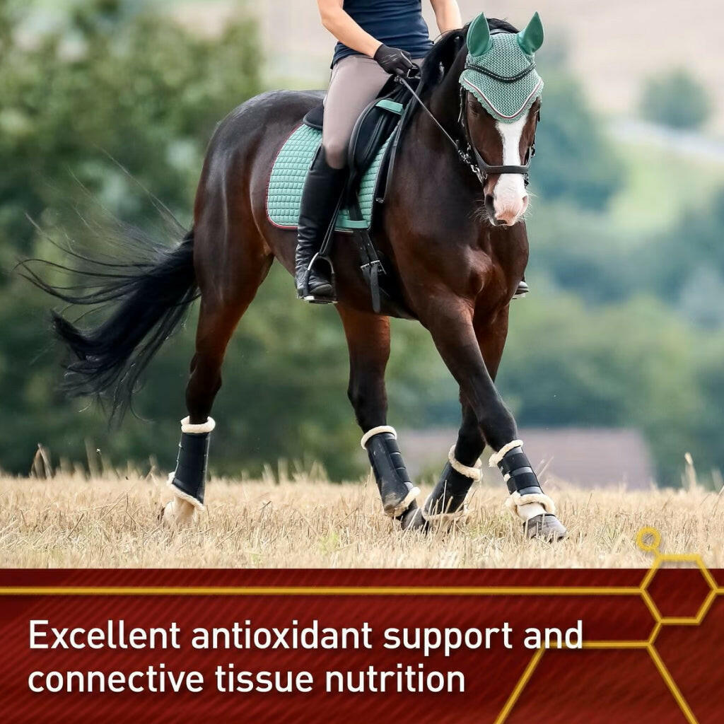 Vita Flex Pure C Antioxidant &amp; Connective Tissue Support For Horses (2 lb)