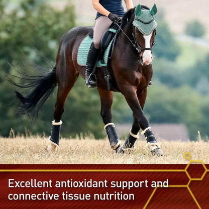 Vita Flex Pure C Antioxidant &amp; Connective Tissue Support For Horses (2 lb)