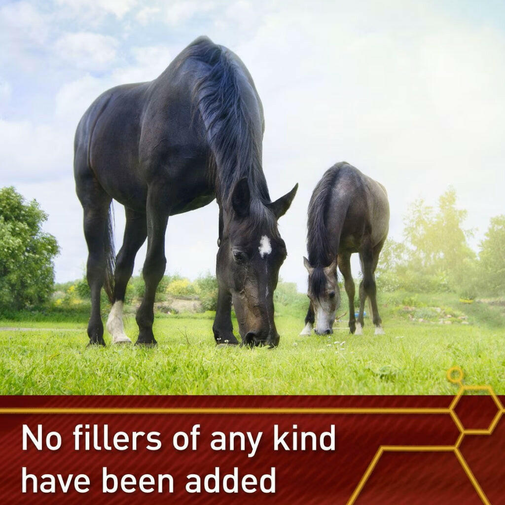 Vita Flex Pure C Antioxidant &amp; Connective Tissue Support For Horses (2 lb)
