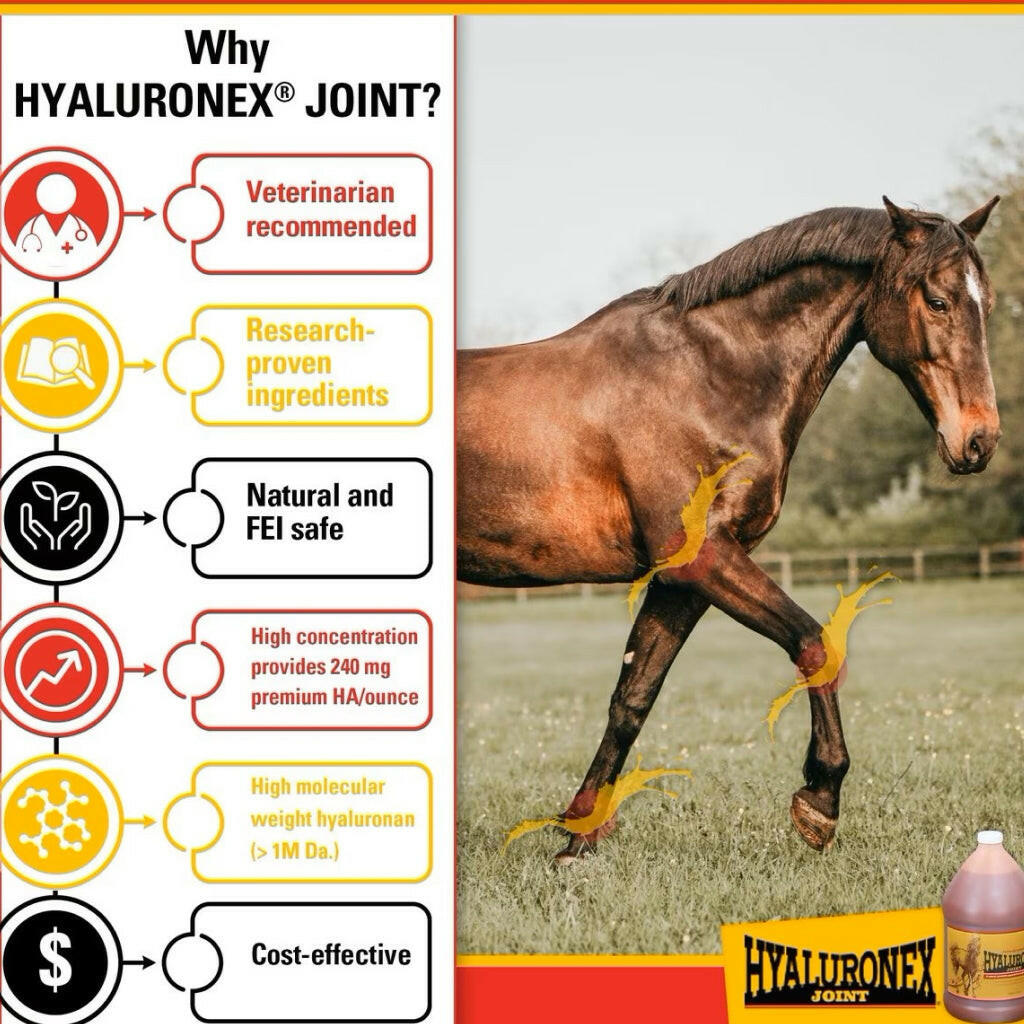 Vitalize Hyaluronex Joint Support Liquid Support for Horses