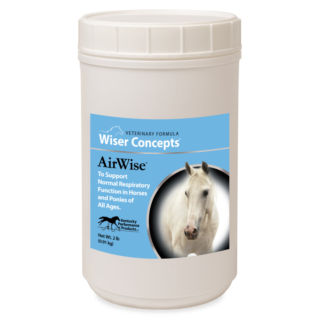 Wiser Concepts AirWise Respiratory Support for Horses