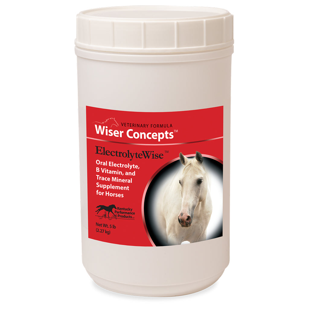 Wiser Concepts ElectrolyeWise Electrolyte Vitamin &amp; Mineral Supplement for Horses