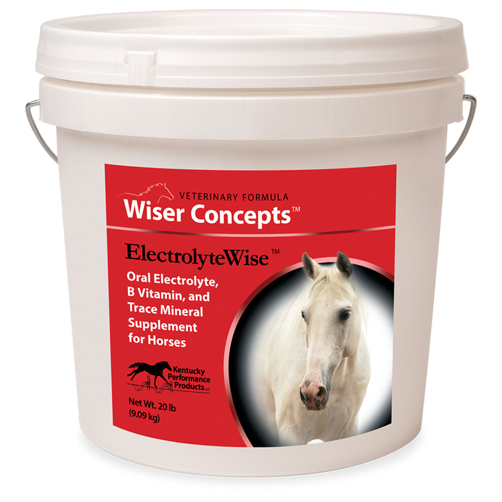 Wiser Concepts ElectrolyeWise Electrolyte Vitamin &amp; Mineral Supplement for Horses